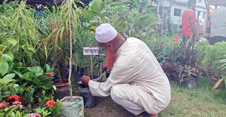 বাগেরহাটে বৃক্ষমেলায় সৌদি খেজুরের চারা বিক্রির ধুম