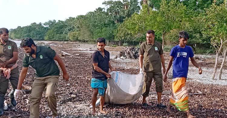 সুন্দরবনে প্লাস্টিক দূষণ কমাতে বন বিভাগের উদ্যোগ