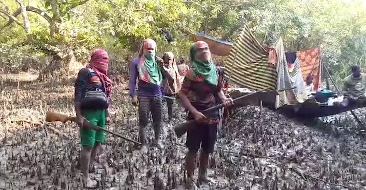সুন্দরবনে দস্যুতায় ফিরছেন আত্মসমর্পণকারীরা, নেপথ্যে দুই কারণ
