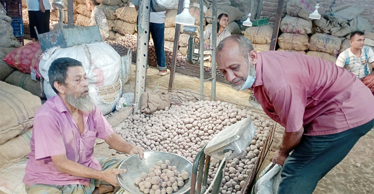 বগুড়ায় বেঁধে দেওয়া দামে বিক্রি হচ্ছে আলু