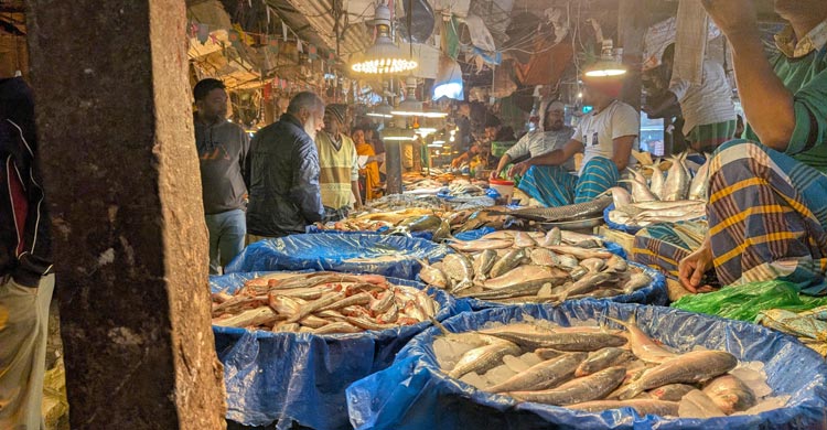 শীতের সবজির দাম আবারও বাড়তি