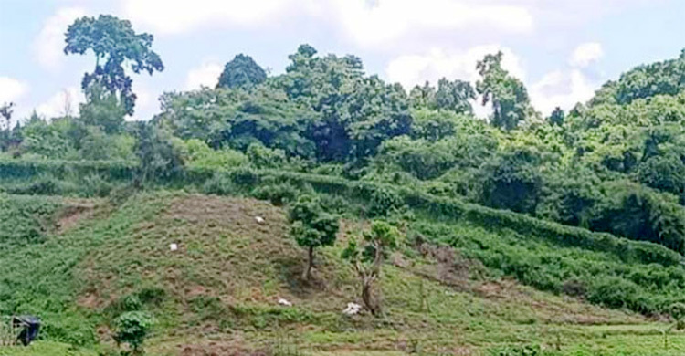 বান্দরবান সীমান্তে স্থলমাইন বিস্ফোরণে দুই বাংলাদেশি আহত