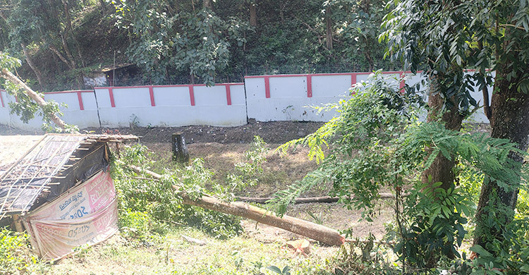 বান্দরবানে সওজের ৫০ লাখ টাকার গাছ কেটে নেওয়ার অভিযোগ