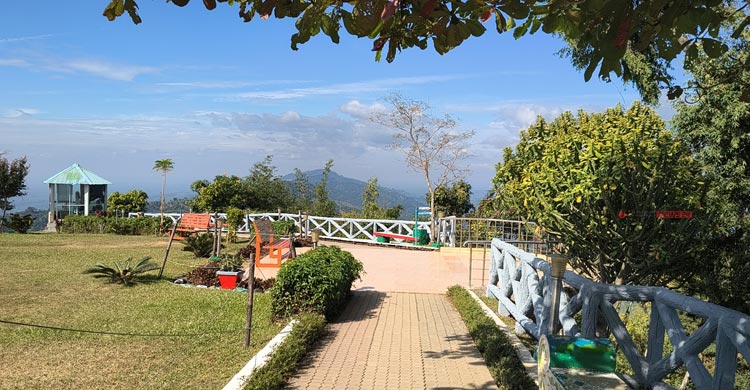 নীলগিরি