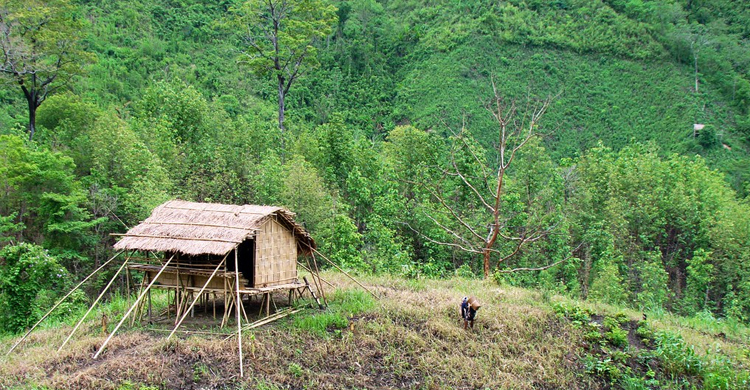 বন্দুকে ফায়ার হয় কি না দেখতে গুলি, অপর যুবক নিহত