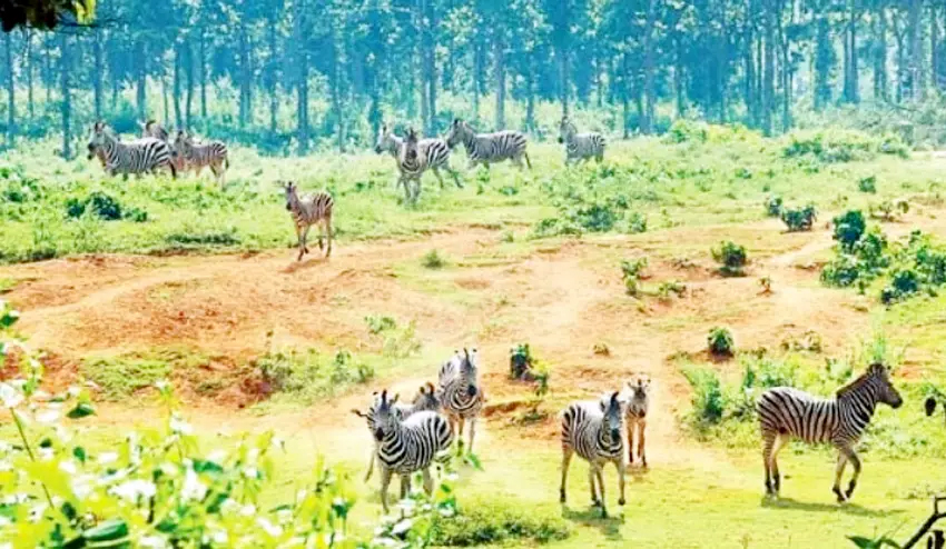 ঢাকার কাছে বেড়াতে যাওয়ার সাত স্পট