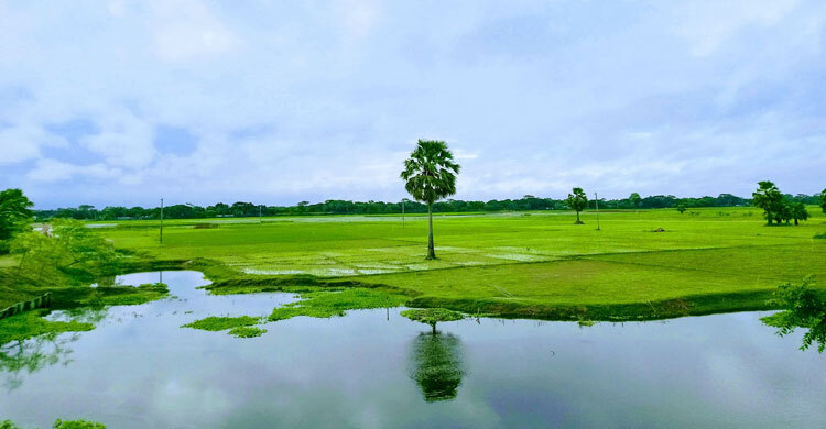 জমি বন্ধক রাখার প্রচলিত পদ্ধতি কি জায়েজ?