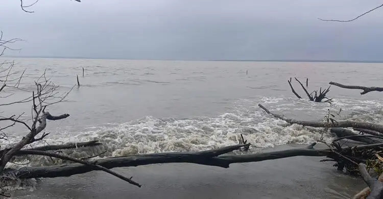 শুভসন্ধ্যা সৈকতে গোসলে নেমে পর্যটক নিখোঁজ