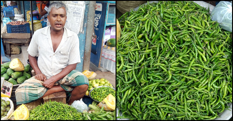 কাঁচা মরিচের দাম কেজিতে বেড়েছে ৪০ টাকা