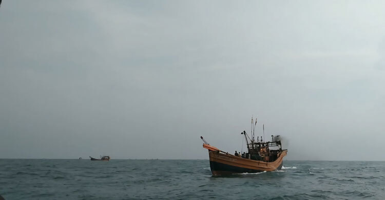 বাংলাদেশে নিষেধাজ্ঞা, মাছ শিকার করে নিয়ে যাচ্ছে ভারতীয় জেলেরা