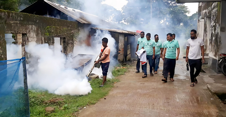 বরগুনায় আরও ৮৬ জনের ডেঙ্গু শনাক্ত