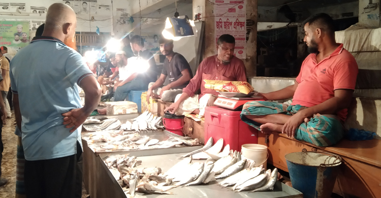 বাজারে ইলিশের সরবরাহ ভালো, দাম কমছে