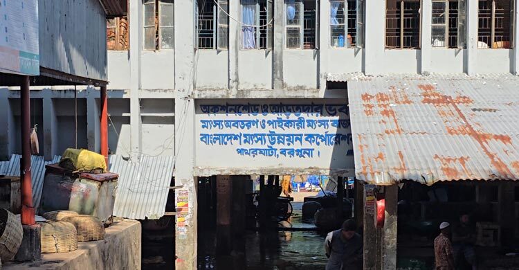 বরগুনায় দুই ট্রলারে ঘাটে এলো ২০০ মণ ইলিশ