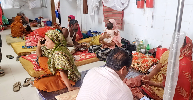 বরগুনায় আরও ৮৬ জনের ডেঙ্গু শনাক্ত