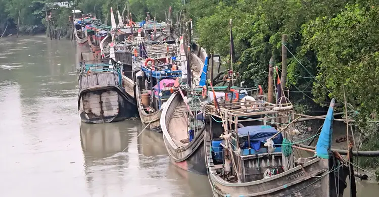 বাংলাদেশে নিষেধাজ্ঞা, মাছ শিকার করে নিয়ে যাচ্ছে ভারতীয় জেলেরা