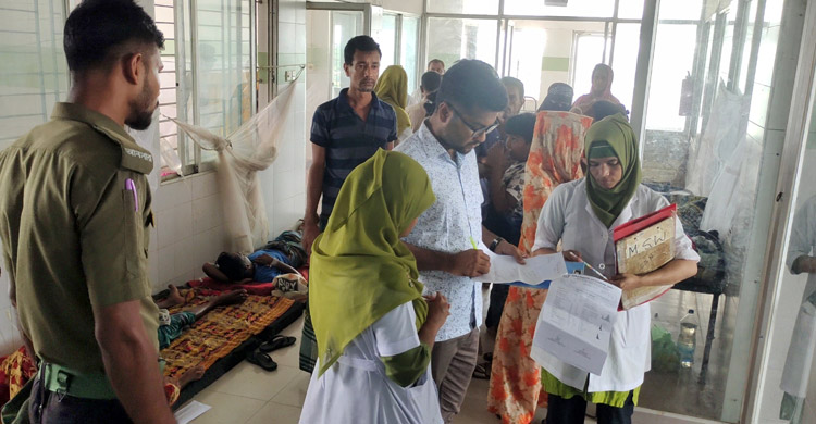 প্রতিদিন বাড়ছে ডেঙ্গু রোগী, সেবা দিতে হিমশিম খাচ্ছেন চিকিৎসকরা