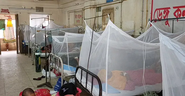 পিরোজপুরে ২৪ ঘণ্টায় ২০ জনের ডেঙ্গু শনাক্ত
