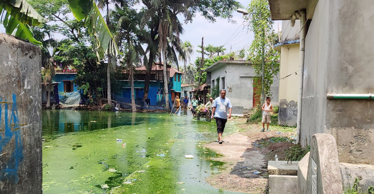 বছরে ১০ মাস ডুবে থাকে সড়ক, অন্য এলাকায় ভাড়া থাকে স্থানীয়রা
