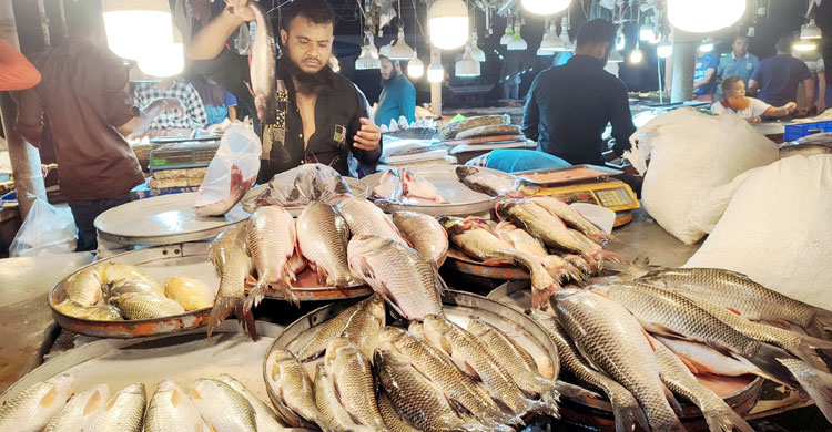 বরিশালে সবজিতে স্বস্তি