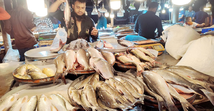 বরিশালে বেগুনের কেজি ১৩০