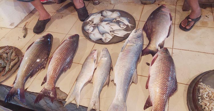 বরিশালে সবজির বাজারে অস্বস্তি