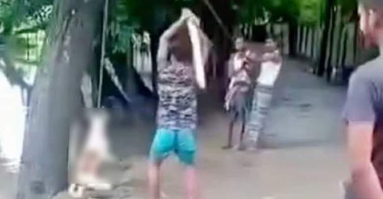 বরিশালে কুকুরকে গাছে ঝুলিয়ে পিটিয়ে হত্যা, জরিমানা-মুচলেকা