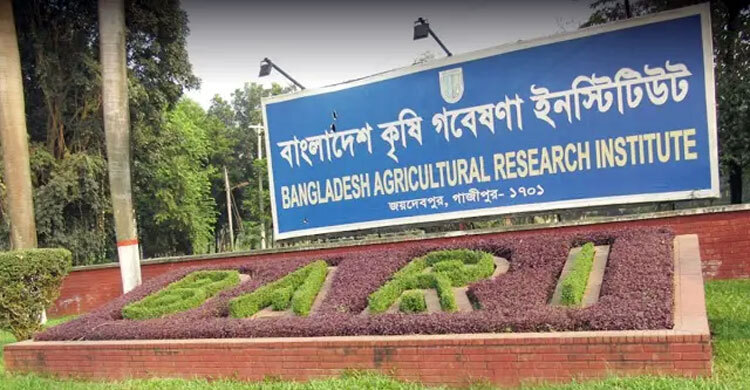 বারির সাবেক মহাপরিচালকসহ ৪৪ জনের বিরুদ্ধে মামলার সিদ্ধান্ত