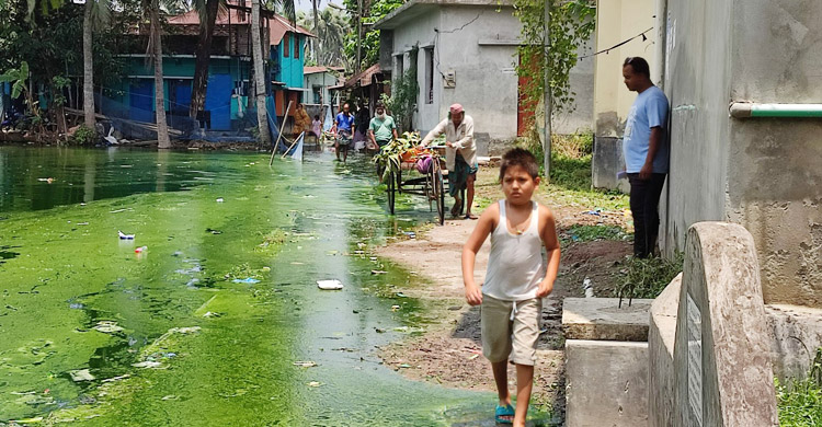 বছরে ১০ মাস ডুবে থাকে সড়ক, অন্য এলাকায় ভাড়া থাকে স্থানীয়রা