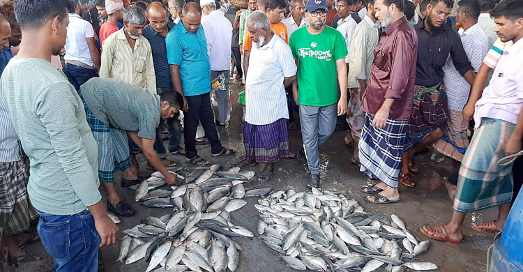 চড়া দামে ইলিশের স্বাদ ভুলতে বসেছে মানুষ