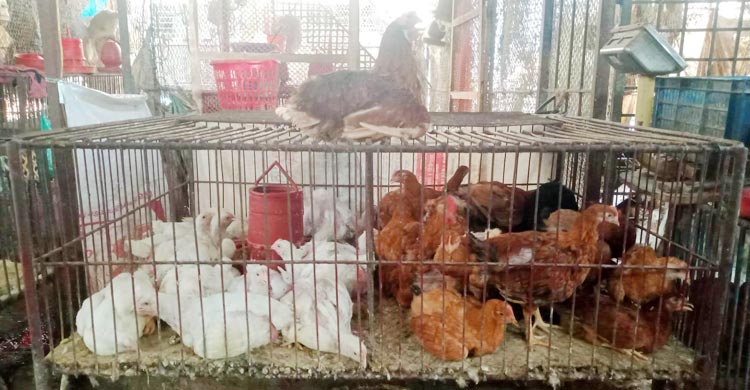 বরিশালে সবজির বাজারে অস্বস্তি