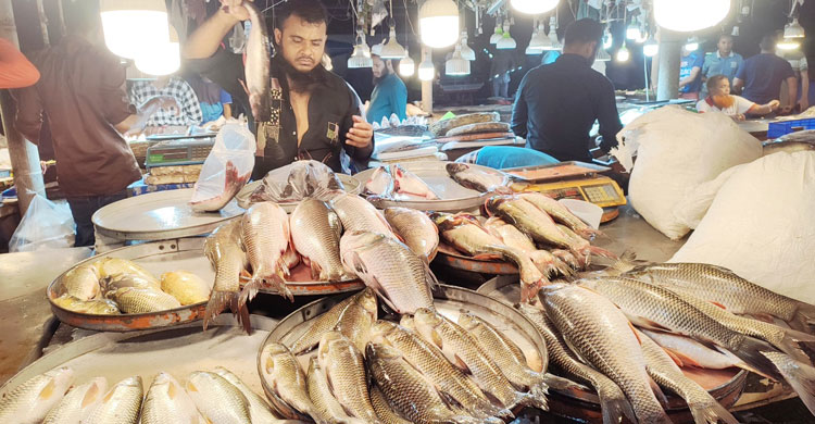 বরিশালে সরবরাহ বাড়ায় সবজির বাজারে স্বস্তি