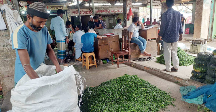 সবজির বাজারে বৃষ্টির প্রভাব, কাঁচামরিচ ২০০ টাকা