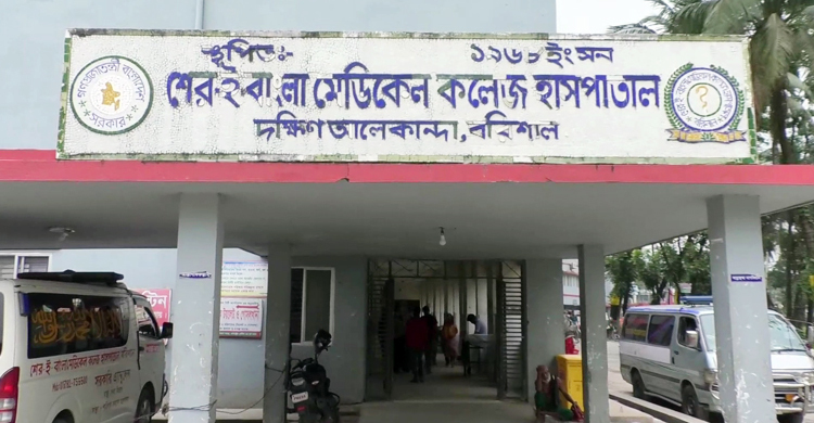 বরিশালে আরও ৩৭৬ জনের ডেঙ্গু শনাক্ত, নারীর মৃত্যু