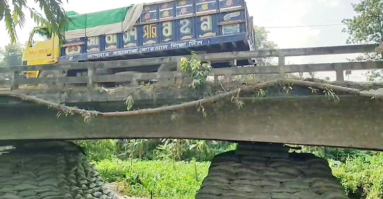 বালুর বস্তার ওপর দাঁড়িয়ে ঢাকা-বরিশাল মহাসড়কের উজিরপুর সেতু