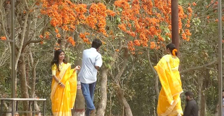 পলাশের রক্তিম আভায় রঙিন বরিশাল বিশ্ববিদ্যালয় ক্যাম্পাস