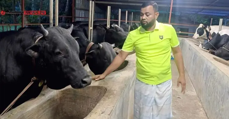 পশু বেচাকেনায় শত বছরের পুরোনো প্রথা বদলে দিচ্ছে ‘লাইভ ওয়েট’