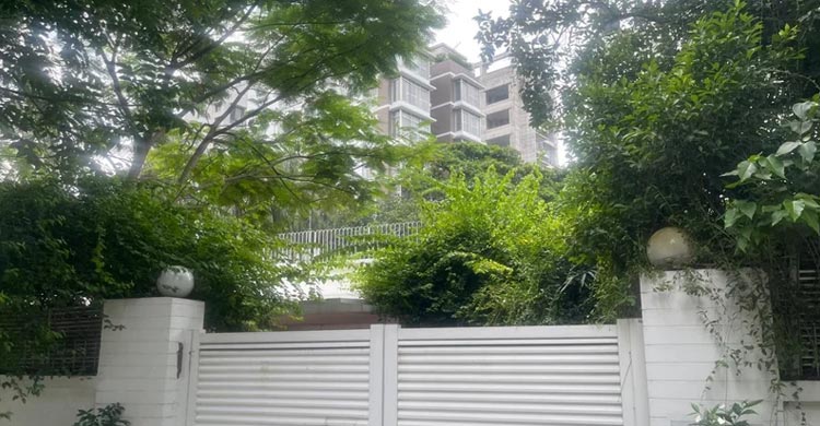 অবশেষে ফিরছেন তারেক রহমান, উচ্ছ্বসিত নেতাকর্মীরা