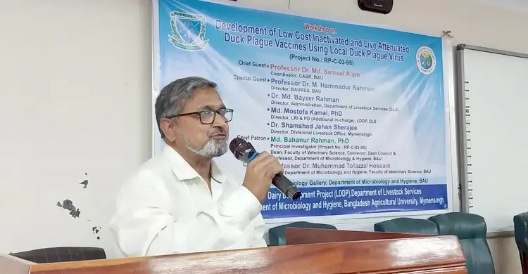 হাঁসের প্লেগ রোগের টিকা উদ্ভাবন, ৯০ শতাংশের বেশি সুরক্ষার আশা