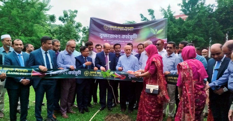 আমরা গাছ কাটি, আবার রোপণও করি: বাকৃবি উপাচার্য