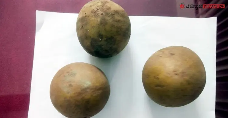 বিনার গবেষকদের নতুন সাফল্য ‘বিনা সফেদা-১’