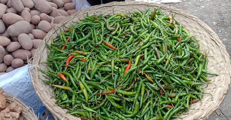 রাজশাহীতে সপ্তাহের ব্যবধানে কাঁচা মরিচের দাম তিনগুণ