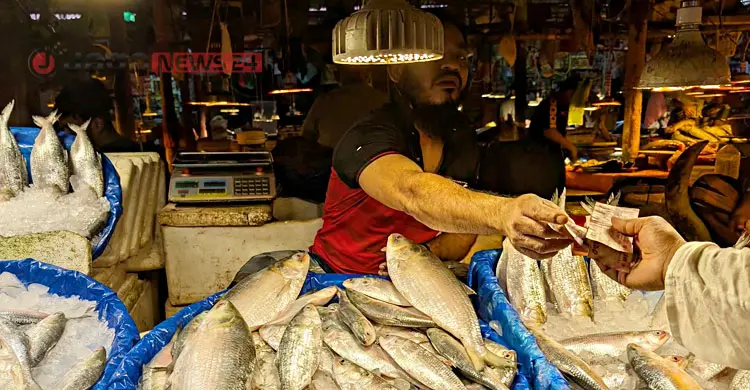 ইলিশের বাজার চড়া, কমেছে ব্রয়লার মুরগির দাম