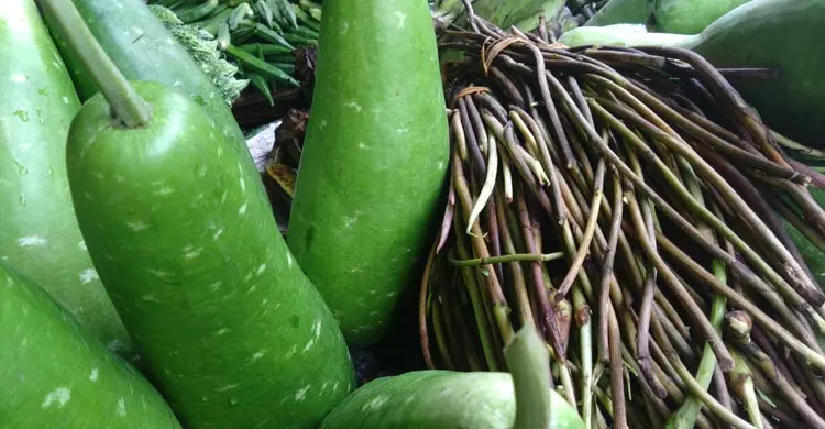 কেজিতে ১০০ টাকা কমেছে কাঁচামরিচের দাম