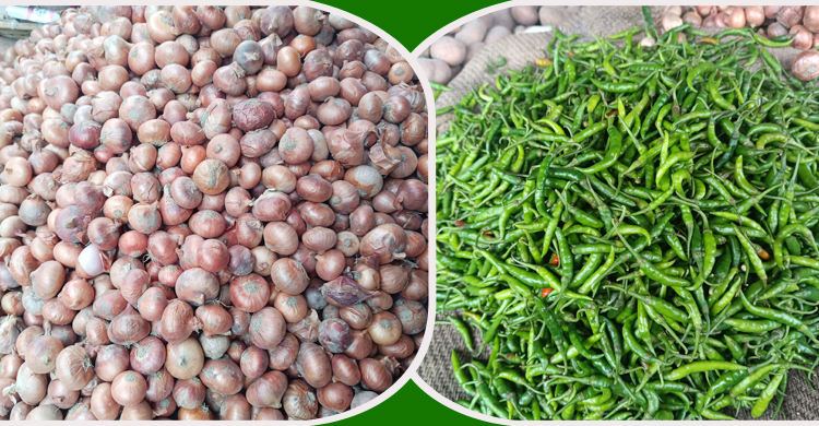 কাঁচা মরিচের কেজিতে বেড়েছে ৫০ টাকা, পেঁয়াজে ১০