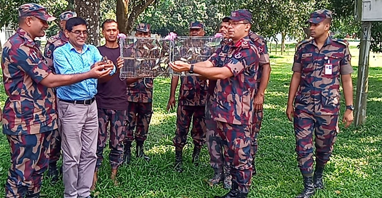 মুক্ত আকাশে ফিরে গেলো ১৫০ মুনিয়া পাখি