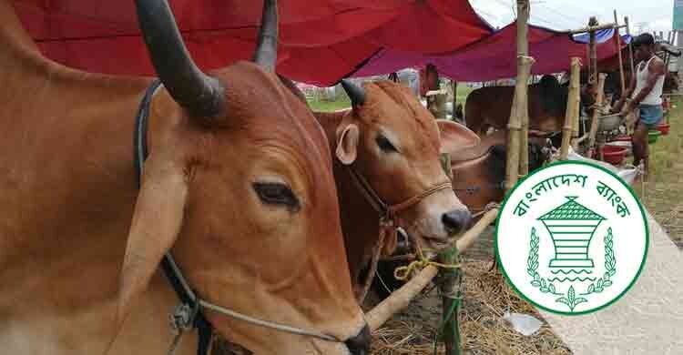 পশুর হাটসংলগ্ন ব্যাংক বুধবার রাত ১০টা পর্যন্ত খোলা থাকবে