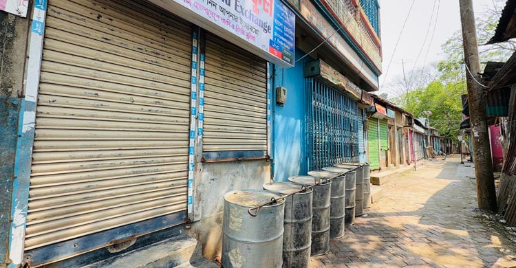 মাঠে পড়ে আছে সোনার ফসল, পুরুষশূন্য গ্রামে কৃষি কাজে নারীরা