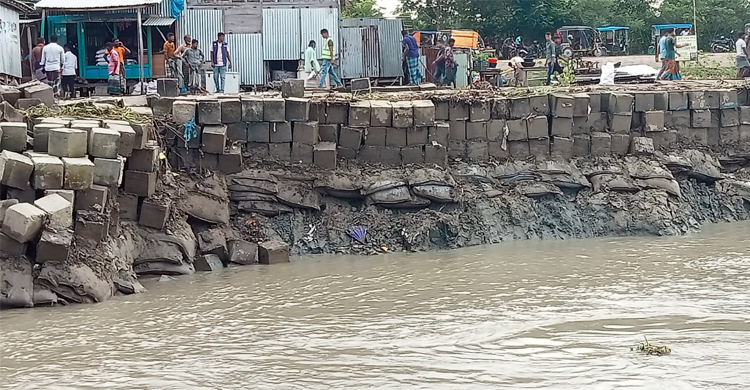 মেঘনায় বাঁধের ব্লক ধসে নারীর মৃত্যু