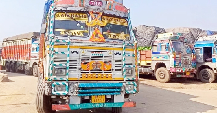 বেনাপোলে ভারতীয় ৪২ মেট্রিক টন মহিষের চামড়া জব্দ