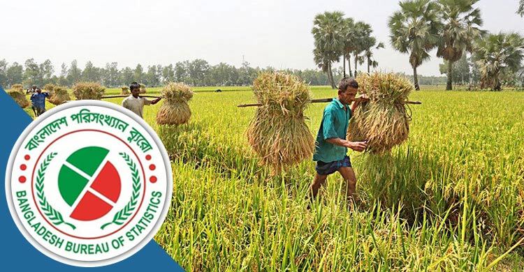বেশিরভাগ জমি এখনো টেকসই চাষের বাইরে: বিবিএস
